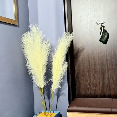 Blaue Brise Apartment